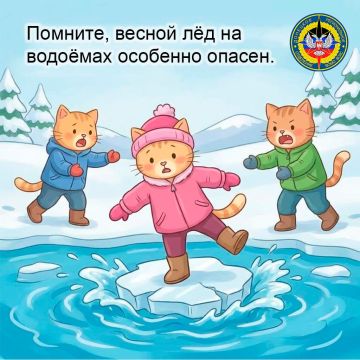 ���� ����� - ����� ���������� ���������