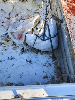 ����������� �������� ���� ����������� ������ ����