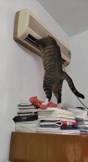 ���������� - ������� ���� ��������� ������� �� ���������