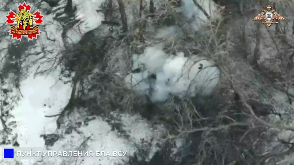 56 ����� ���������� ��� �� ��� ��� � ��������