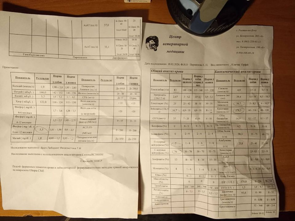 ���� ���������: ������, ��� ����� ����.. � ���� �������, �������� ����������� �������� ���� ���������� �� �������-��-���� ������� ��� �����. � �����, � �����, � ���� ��� ��� ����� ������� � �������, �� ��� ���� �����������...