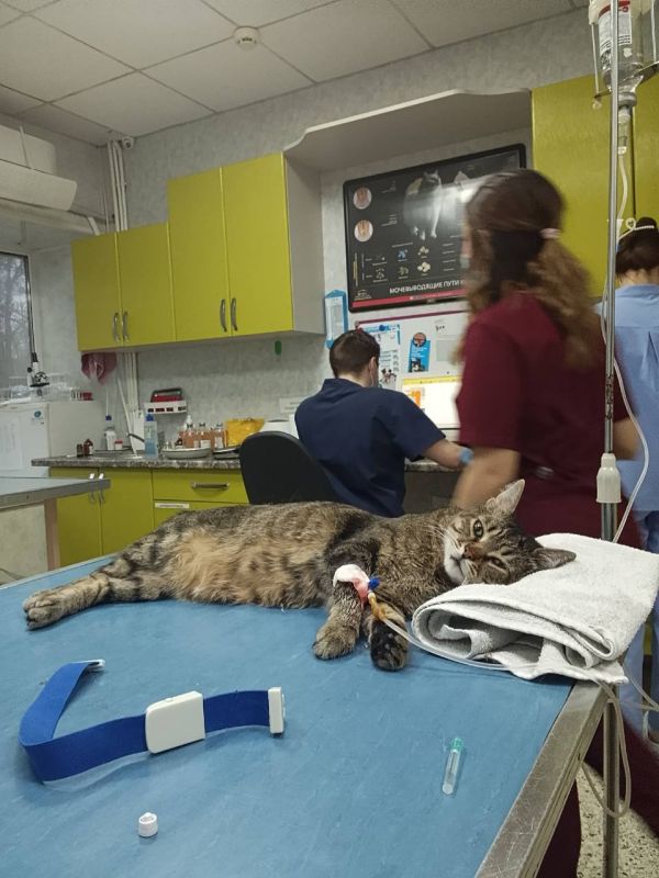 ���� ���������: ������, ��� ����� ����.. � ���� �������, �������� ����������� �������� ���� ���������� �� �������-��-���� ������� ��� �����. � �����, � �����, � ���� ��� ��� ����� ������� � �������, �� ��� ���� �����������...