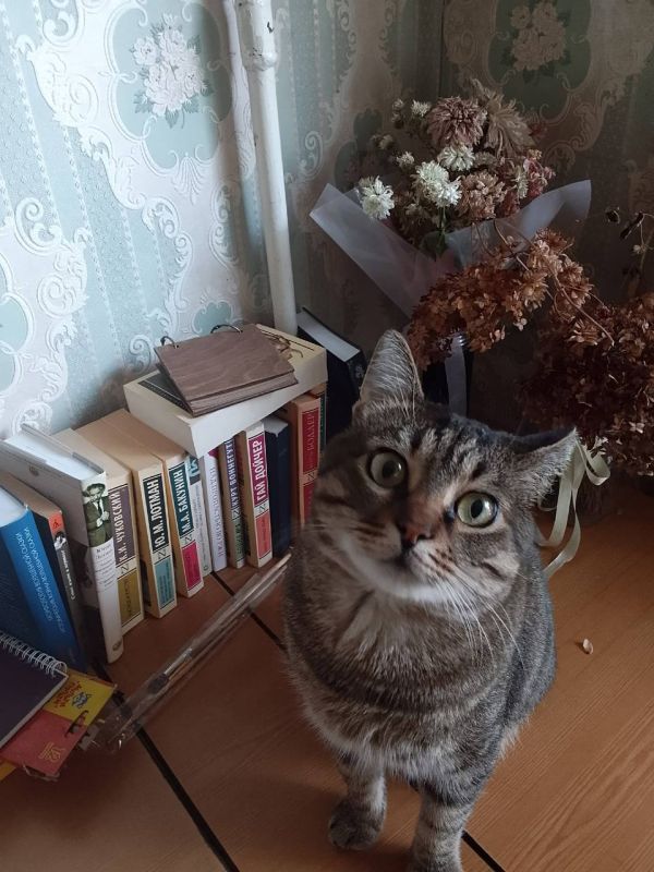 ���� ���������: ������, ��� ����� ����.. � ���� �������, �������� ����������� �������� ���� ���������� �� �������-��-���� ������� ��� �����. � �����, � �����, � ���� ��� ��� ����� ������� � �������, �� ��� ���� �����������...