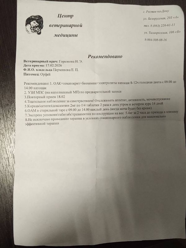 ���� ���������: ������, ��� ����� ����.. � ���� �������, �������� ����������� �������� ���� ���������� �� �������-��-���� ������� ��� �����. � �����, � �����, � ���� ��� ��� ����� ������� � �������, �� ��� ���� �����������...