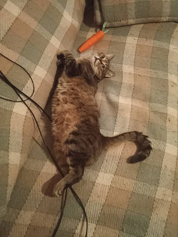 ���� ���������: ������, ��� ����� ����.. � ���� �������, �������� ����������� �������� ���� ���������� �� �������-��-���� ������� ��� �����. � �����, � �����, � ���� ��� ��� ����� ������� � �������, �� ��� ���� �����������...