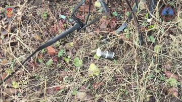 �� ��������� ������ ������� ��� ������ �������� ������������� 178 ���� ���������� ������������