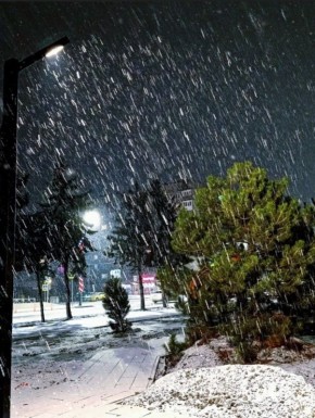 ������ ����, ������� �������!