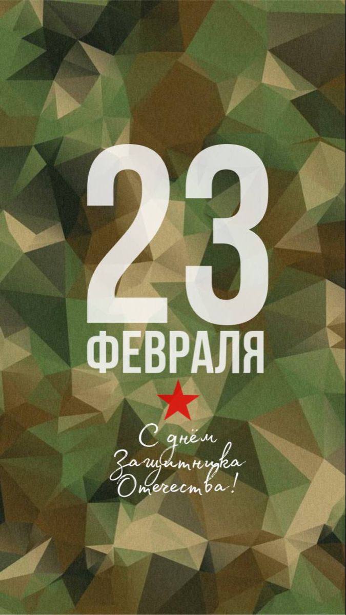 Наталья Никонорова: Дорогие военнослужащие, уважаемые ветераны! Сегодня в один из главных наших праздников, в День Защитника Отечества, вся страна поздравляет вас!