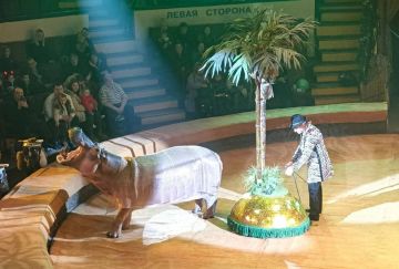 ������ ������: � ������ �������� ��������, ����� ������� ����� ������