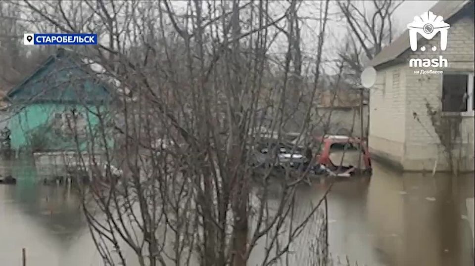 ������� ���� ������� �������� � ������������ ��� � ������� � ����� � ������� ���� ���� ��� ����