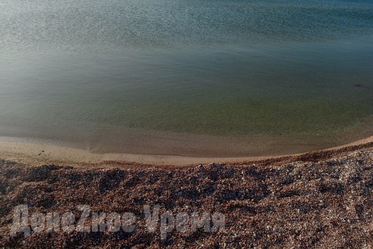 Азовское море стало чище: ученые зафиксировали снижение токсичных веществ в воде и рыбе