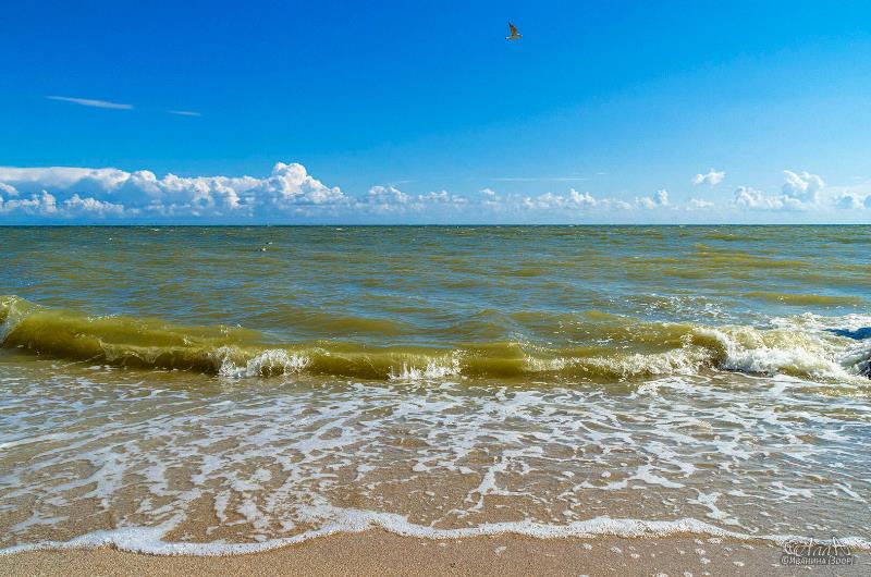 Глэмпинг, водный, активный и детский отдых: Новоазовский округ готовится к масштабному развитию туризма