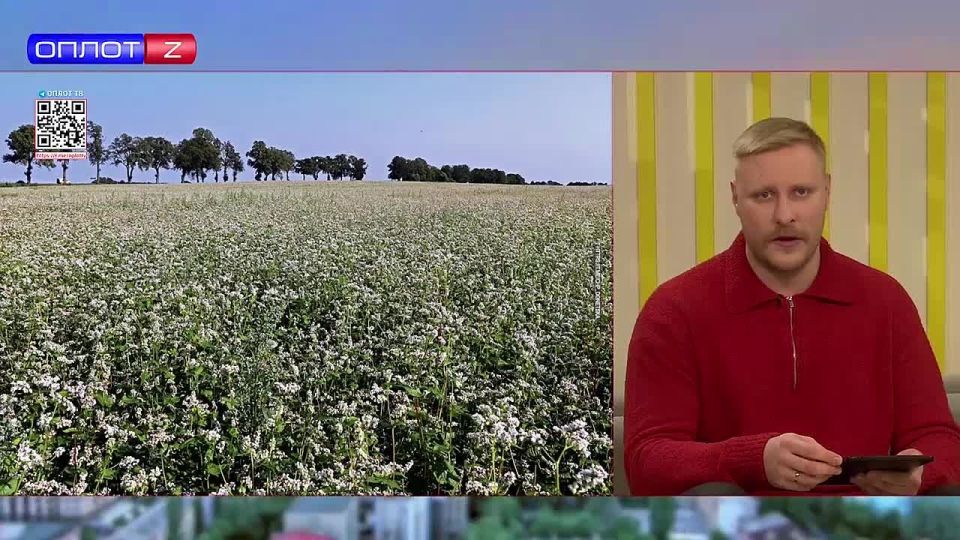 � ��� ����������� �������� ����������������� ������������