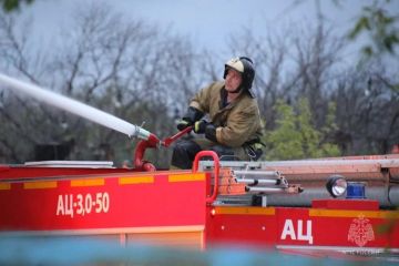 ����������� ���������� � ��� �� 24 �������