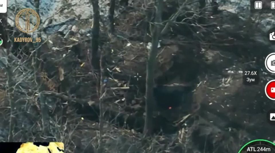 ������ �������: ������� ������ ��������������