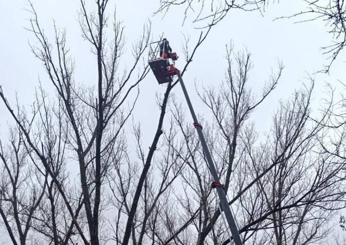 ��� �������� ��������� ��������� ��� ����������� ������ �� ���������� ��������� ����