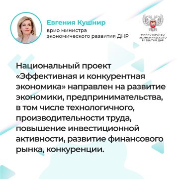 Итоги Прямой линии врио министра экономического развития ДНР Евгении Кушнир