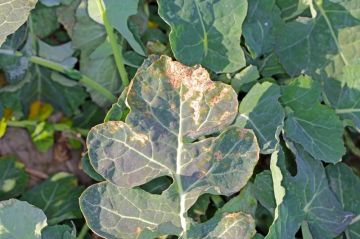 �� ����������� ���� ��������� ��������� ��������� �������� ��������� ����������� ������������ ���������