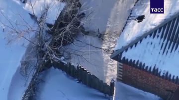 ������������ �������� ��� �������� � ����������� ������� ��������� ����������� ����������� �� �� ����� ���� ��������� �����, �������� �� ��