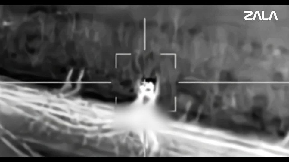 ������ �������� ��������� ��������������� ���� ���