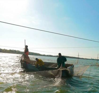 «Соленость пока будет расти»: Экологи ДНР проанализировали, что происходит с Азовским морем «Соленость пока будет расти»: Экологи ДНР проанализировали, что происходит с Азовским морем