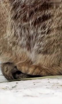 �� � ������ � ������ ��������: ����� �������� ��������� ����� �� �������