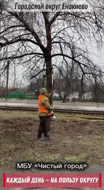 ������� ���� � �� ������ ������