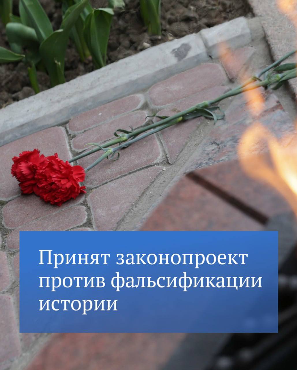 Государственная Дума приняла в первом чтении законопроект о профилактике искажения исторической правды