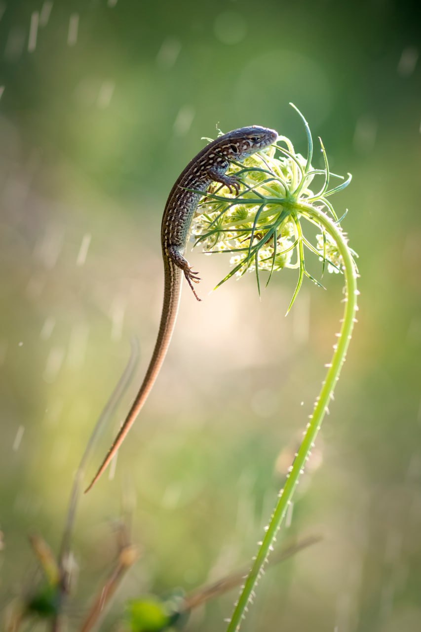 Сектор туризма АГО Мариуполь рад познакомить вас с победителем городского онлайн-фотоконкурса «Мариуполь в кадре» в специальной номинации «Выбор жюри» – Анной Ивановой, чья биография и творческий путь неразрывно связаны с... Сектор туризма АГО Мариуполь рад познакомить вас с победителем городского онлайн-фотоконкурса «Мариуполь в кадре» в специальной номинации «Выбор жюри» – Анной Ивановой, чья биография и творческий путь неразрывно связаны с...