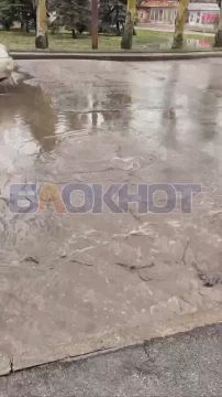 «Лежачие полицейские» на Ленинском проспекте в Донецке сошли со снегом