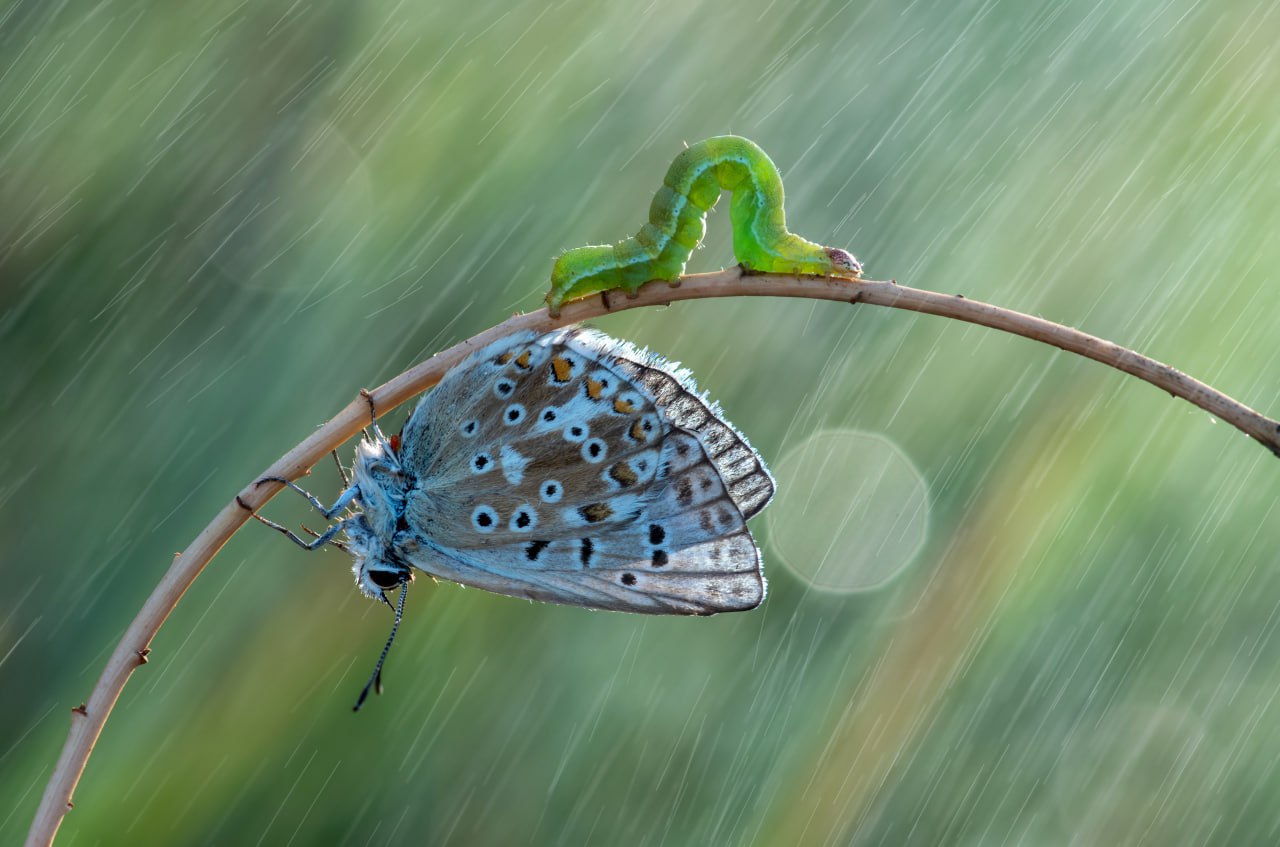 Сектор туризма АГО Мариуполь рад познакомить вас с победителем городского онлайн-фотоконкурса «Мариуполь в кадре» в специальной номинации «Выбор жюри» – Анной Ивановой, чья биография и творческий путь неразрывно связаны с... Сектор туризма АГО Мариуполь рад познакомить вас с победителем городского онлайн-фотоконкурса «Мариуполь в кадре» в специальной номинации «Выбор жюри» – Анной Ивановой, чья биография и творческий путь неразрывно связаны с...