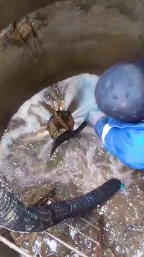 Слесари Ленобласти устранили более 30 аварийных ситуаций в Енакиево в 2026 году