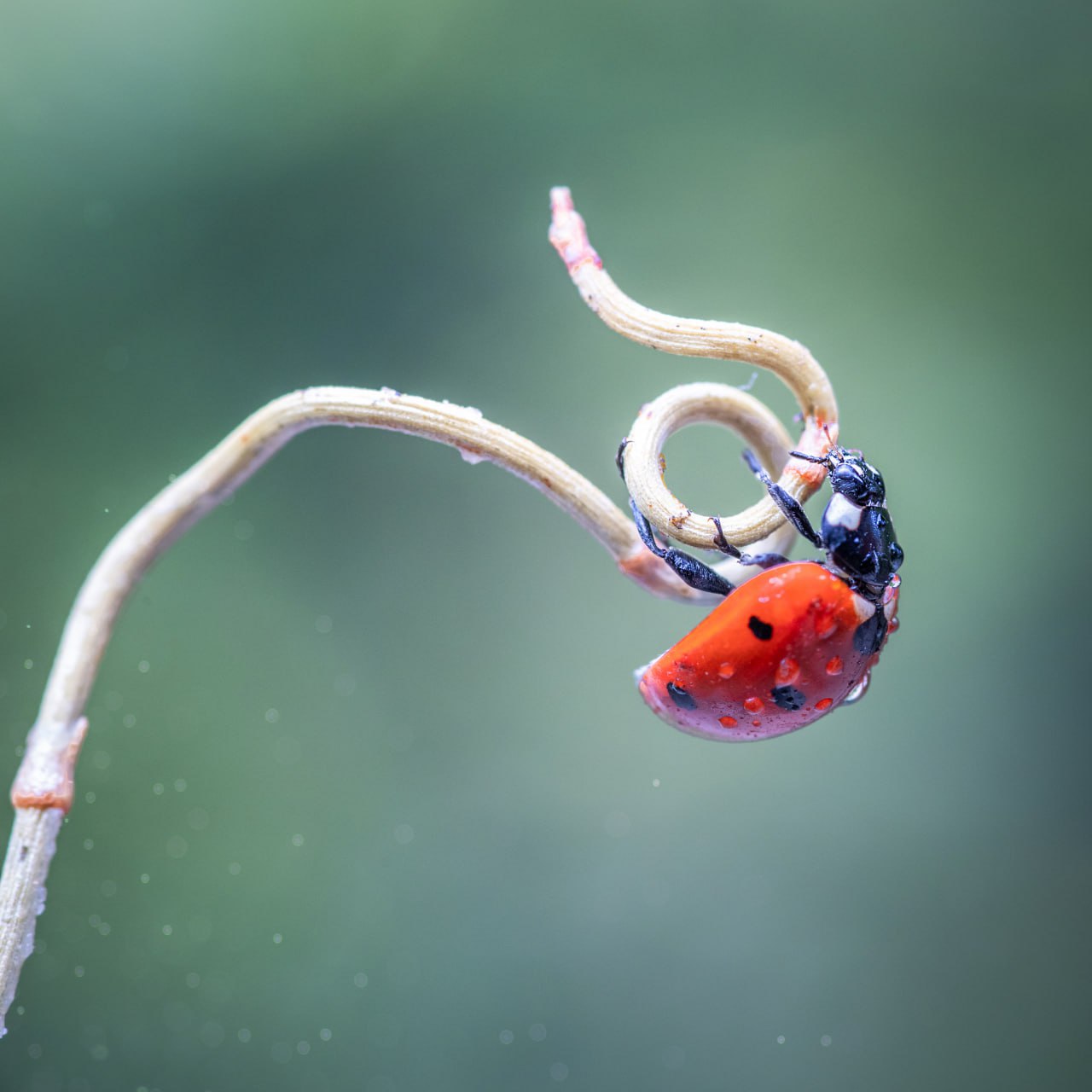 Сектор туризма АГО Мариуполь рад познакомить вас с победителем городского онлайн-фотоконкурса «Мариуполь в кадре» в специальной номинации «Выбор жюри» – Анной Ивановой, чья биография и творческий путь неразрывно связаны с... Сектор туризма АГО Мариуполь рад познакомить вас с победителем городского онлайн-фотоконкурса «Мариуполь в кадре» в специальной номинации «Выбор жюри» – Анной Ивановой, чья биография и творческий путь неразрывно связаны с...