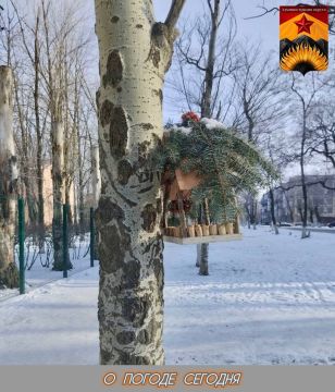 ��������� �����: ������������� ������� � ������ � ���������� ������