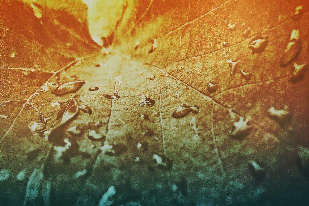 Сектор туризма АГО Мариуполь рад познакомить вас с победителем городского онлайн-фотоконкурса «Мариуполь в кадре» в номинации «Архитектурный образ Мариуполя» – Анастасией Григорьевой Сектор туризма АГО Мариуполь рад познакомить вас с победителем городского онлайн-фотоконкурса «Мариуполь в кадре» в номинации «Архитектурный образ Мариуполя» – Анастасией Григорьевой