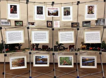 В главной библиотеке ДНР открылась выставка-инсталляция «Русский лес»