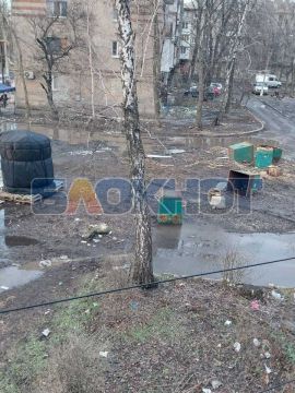 Брошенные контейнеры и упавшие деревья: улица Бирюзова в Донецке превращается в помойку