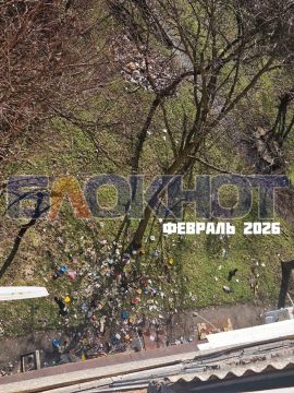 ������ ���� � ������� �������� �� ������-����������, ������� ����� ��� ����������� ����� �� ����