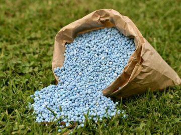 � ������ ���� ������� ������� ����������� ���� ��������� ����� ������ ����������� �������: ������������� ������� ��������� ������� �� ������������ ������ (�����) � ����������� ����������� ������� �� ����� � ���������, �...