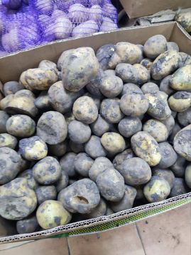 ����� �������� �� ������ ���������� � �������� �� ������� � �������