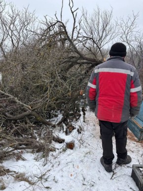 Сергей Юзвинкевич: На территории Володарского муниципального округа округа исходя из ранее данных поручений Главы Донецкой Народной Республики Дениса Владимировича Пушилина продолжается спил и кронирование аварийных...