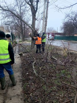 ��������������� �����������: ���������� �������� � ����������� ����