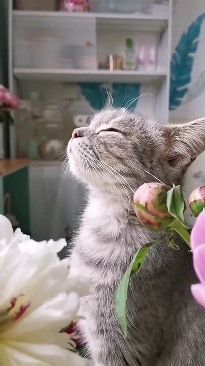 � ������ ����� � �������� ��������!