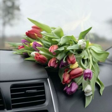 ����� ���! �� �� ������ ������������ �� �������!