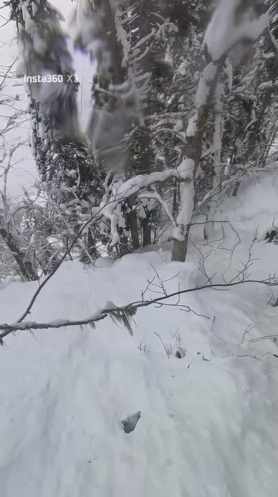 "�������, �������": ������������ ���������� �� ������� � ������� ������