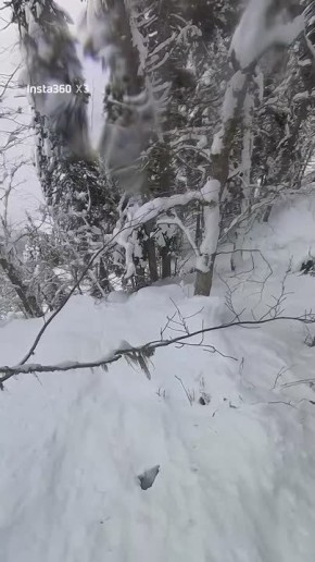 "Андрюха, медведь": сноубордисты наткнулись на берлогу в Красной Поляне