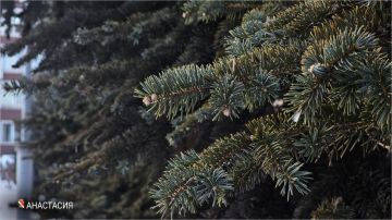 Доброе утро!. #НашОкруг #ЕнакиевоВобъективе #ТалантыЕнакиево