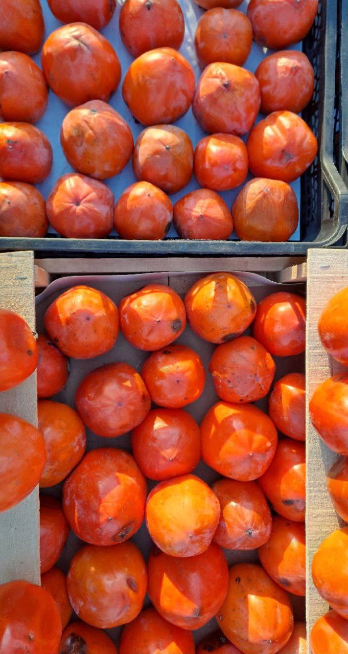 Универсальная ярмарка в городе Мариуполь Универсальная ярмарка в городе Мариуполь