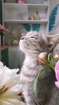 � ������ ����� � �������� ��������!