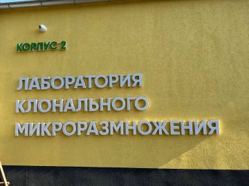 В Донецком ботаническом саду завершён первый этап реконструкции
